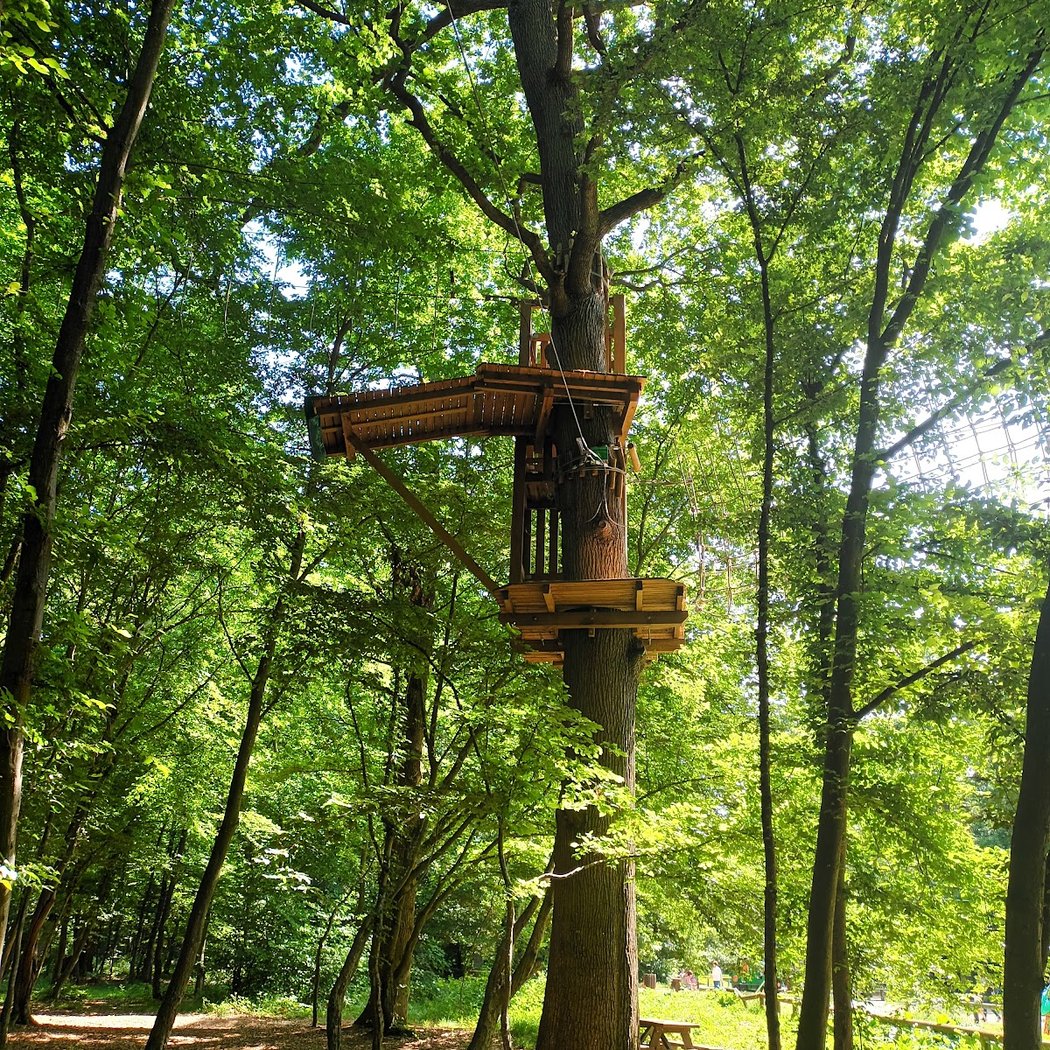 Parc de la charmeraie 1